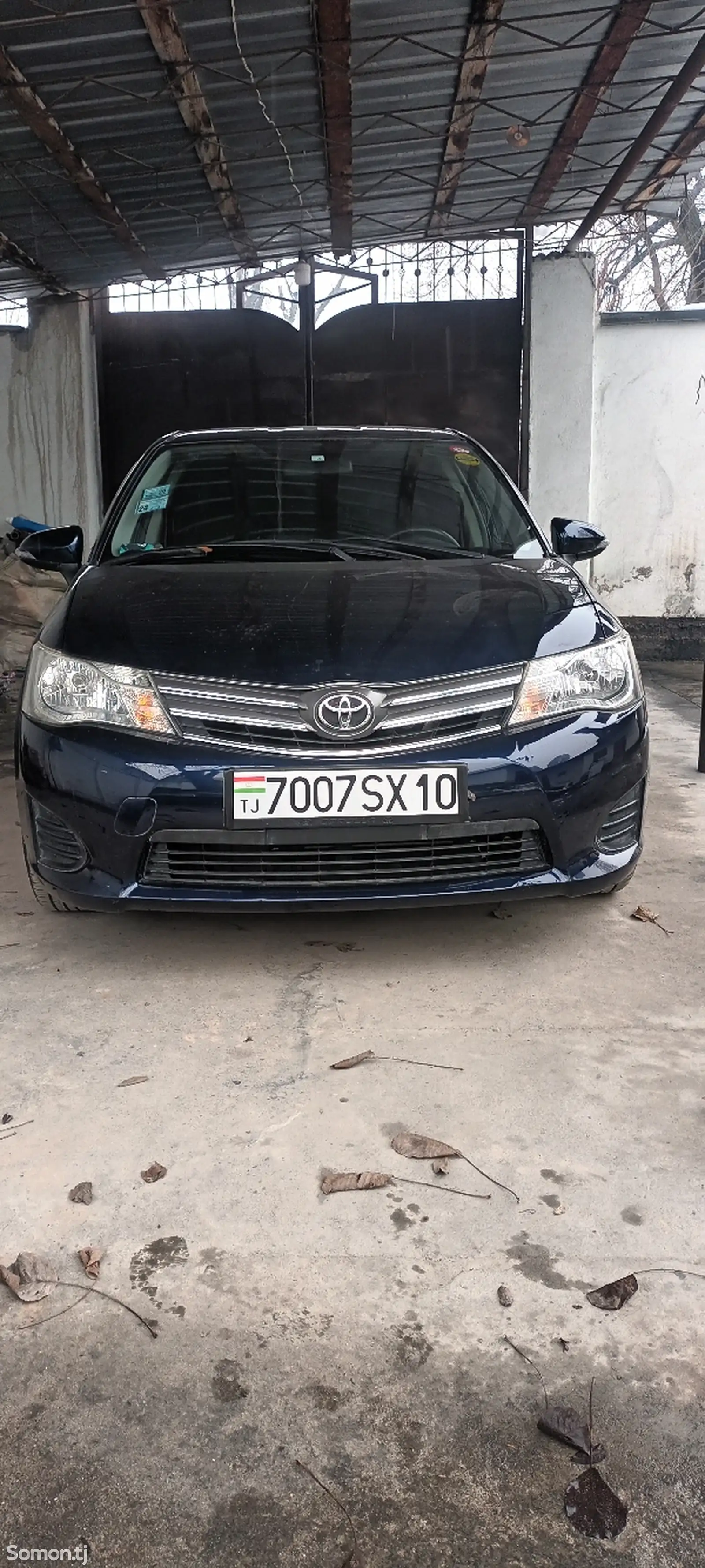 Toyota Axio, 2015-1