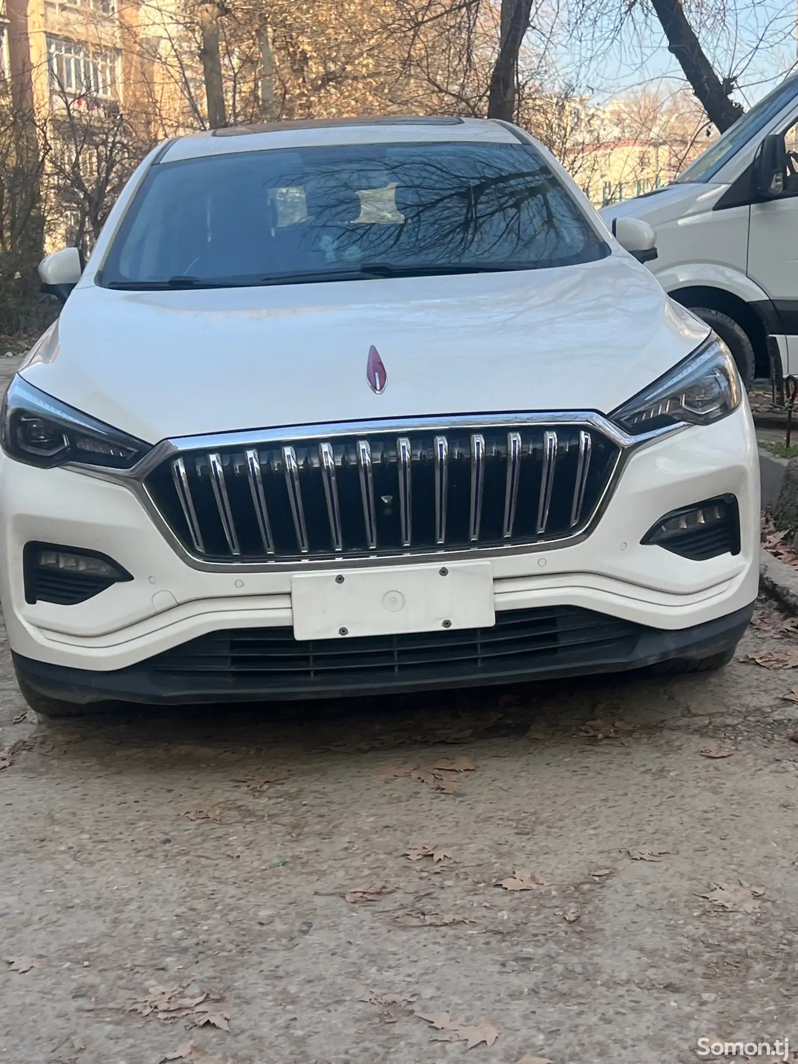 Hongqi E-HS3, 2019-1