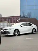 Toyota Camry, 2019-5