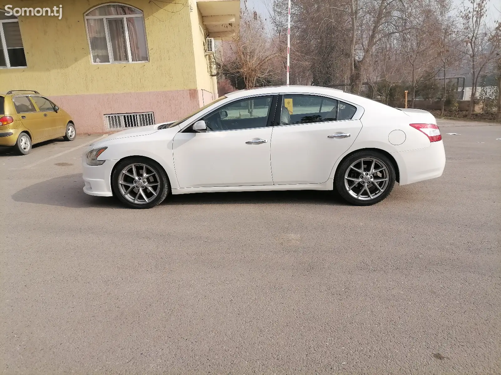 Nissan Maxima, 2010-1