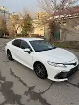 Toyota Camry, 2019-3