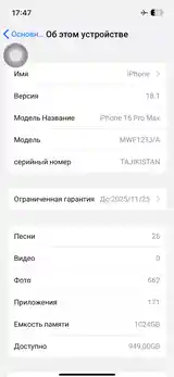 Apple iPhone 16 Pro Max, 256 gb, Desert Titanium-7