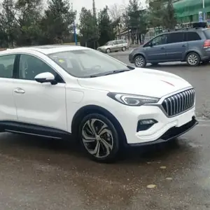 Hongqi E-HS3, 2019