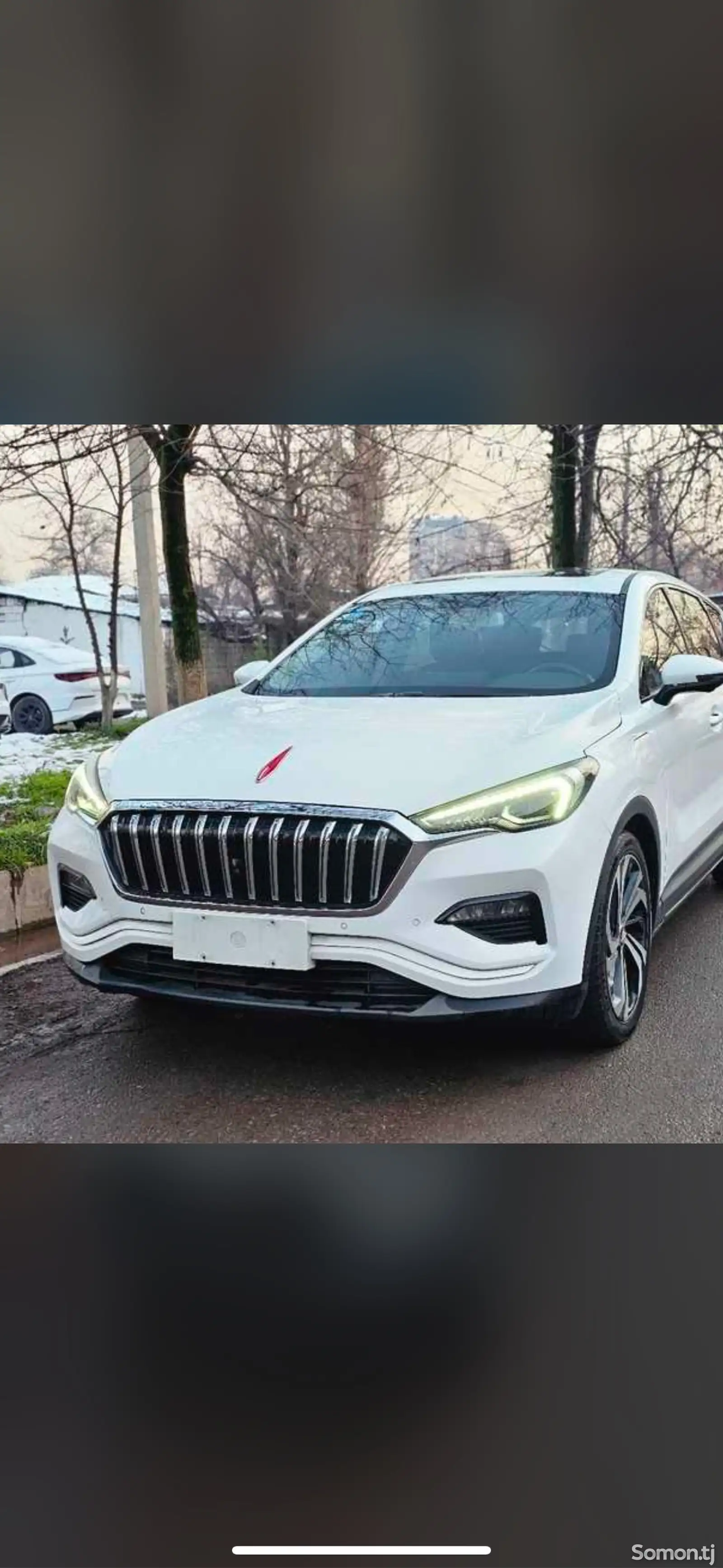 Hongqi E-HS3, 2019-1