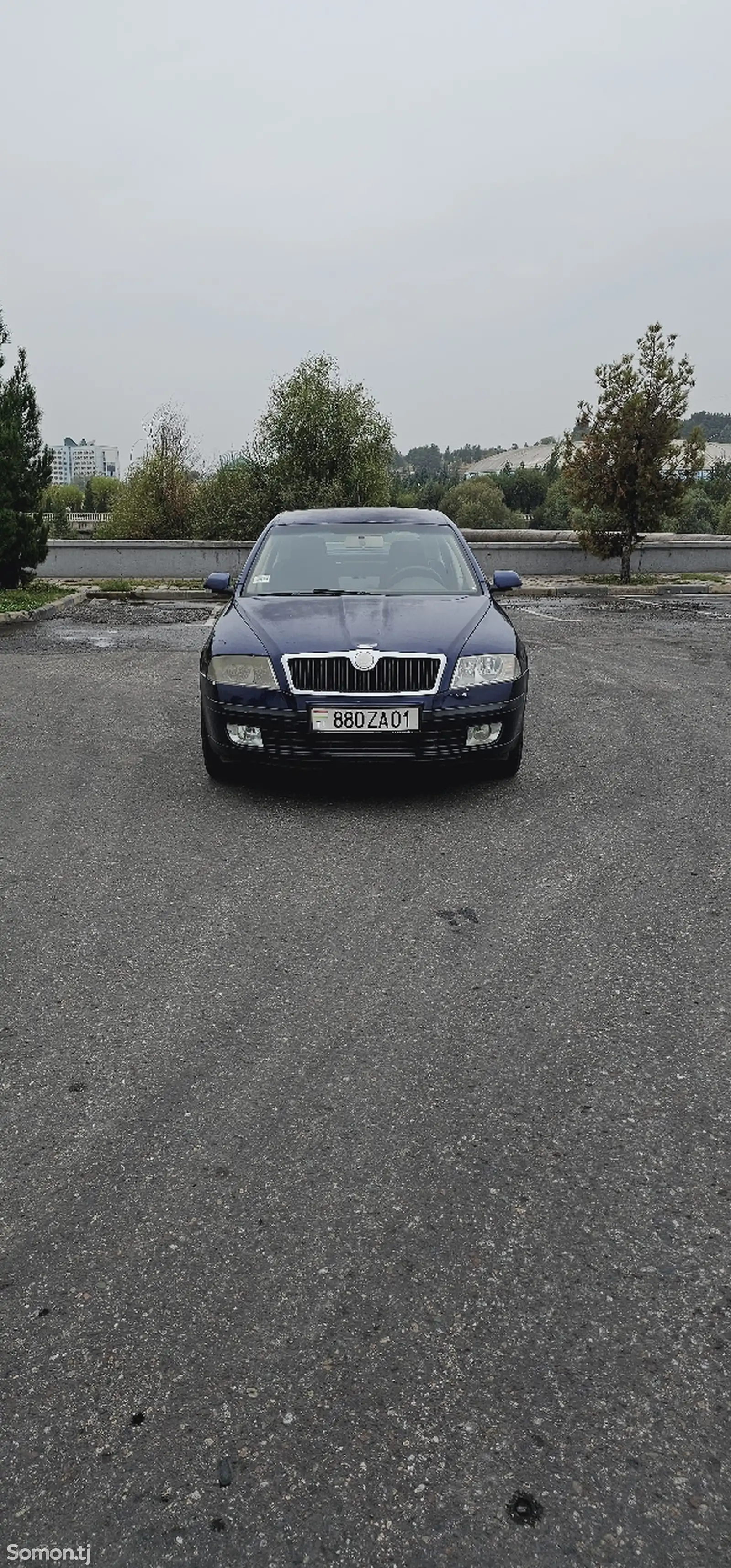 Skoda Octavia, 2008-1