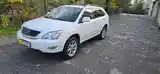 Lexus RX series, 2009-3