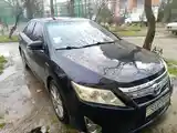 Аренда авто-2