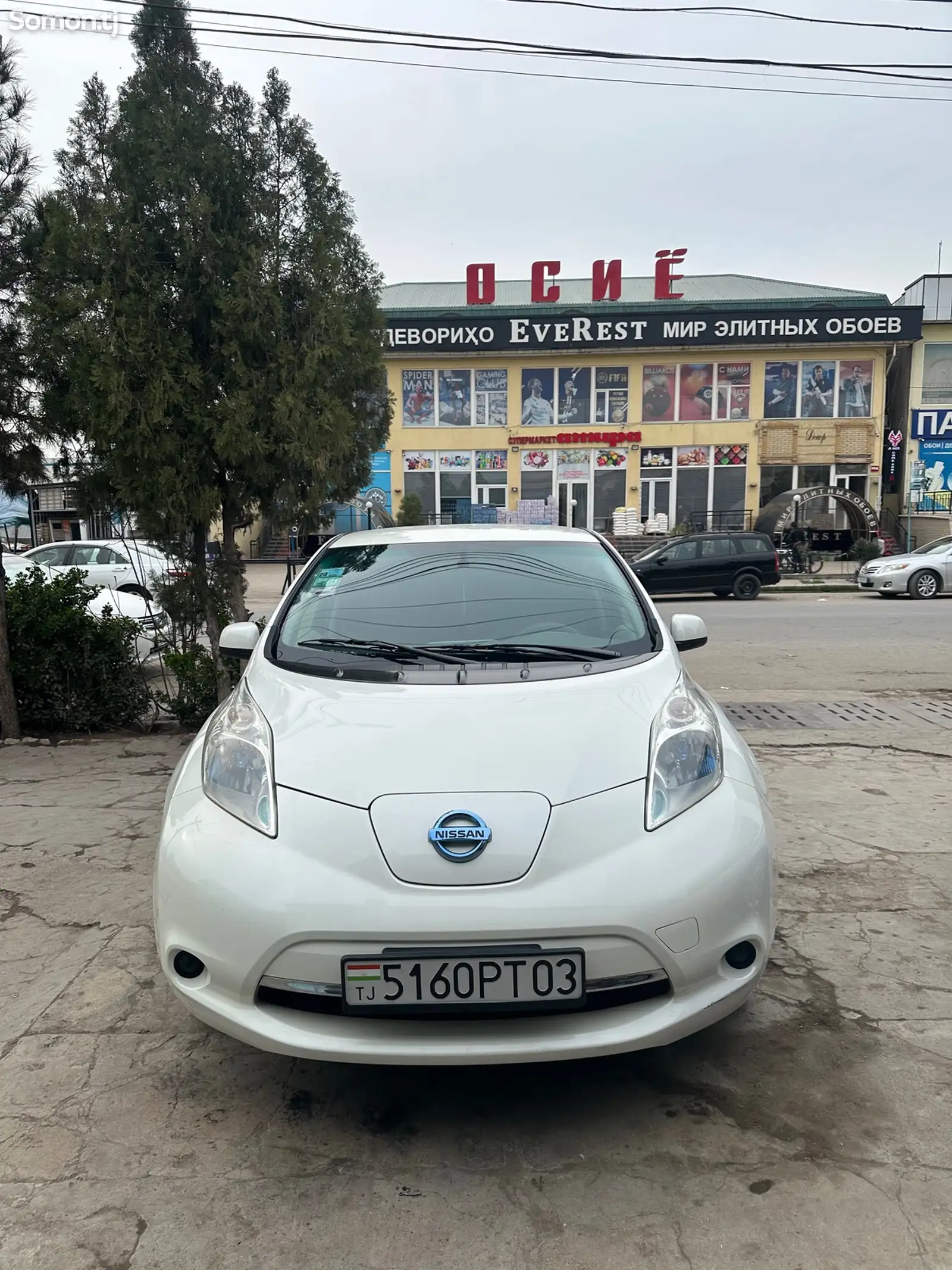 Nissan Leaf, 2013-1