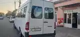 Микроавтобус Mercedes-Benz Sprinter,2006-3