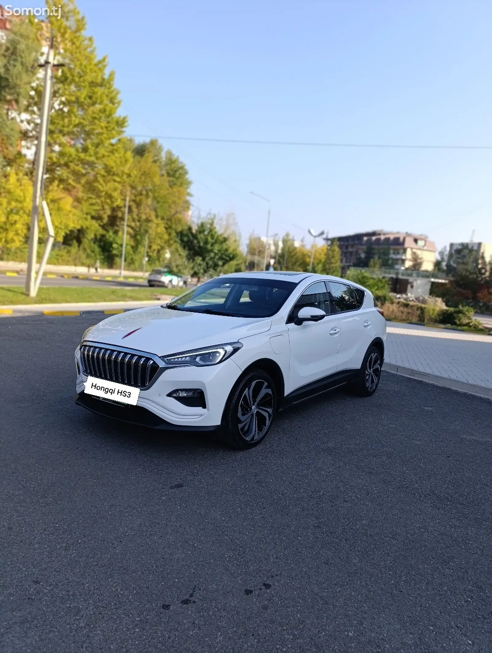 Hongqi E-HS3, 2019-1