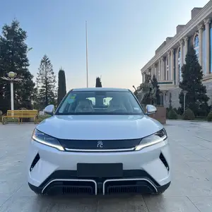 BYD Yuan Up, 2025