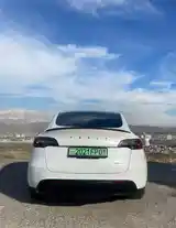 Tesla Model Y, 2021-11