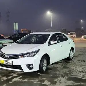 Toyota Corolla, 2014