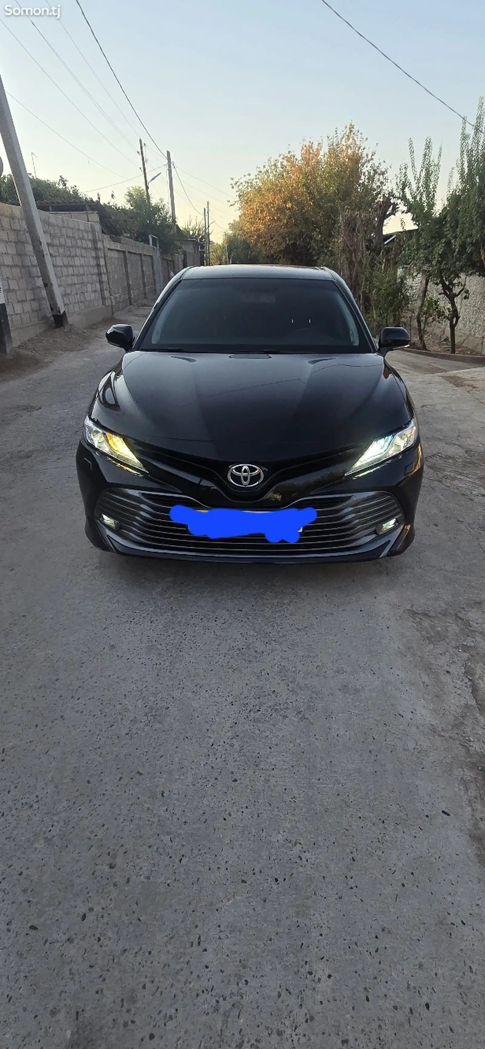 Toyota Camry, 2019-1