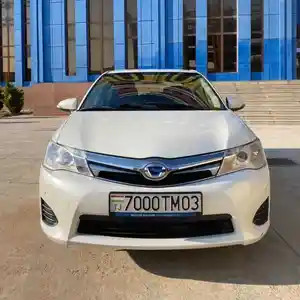 Toyota Axio, 2013