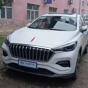 Hongqi E-HS3, 2019