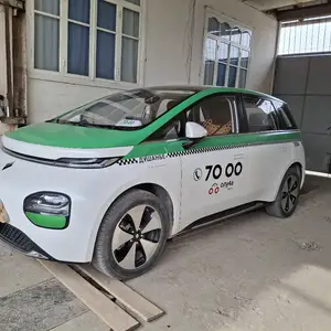 Легковые автомобили Другие марки, 2024