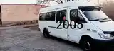 Микроавтобус Mercedes-benz sprinter, 2005-4