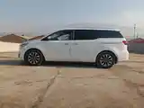 Kia Carnival, 2014-6