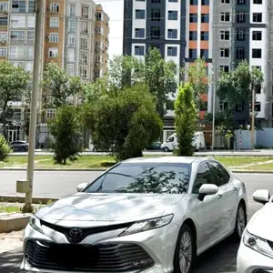 Toyota Camry, 2019