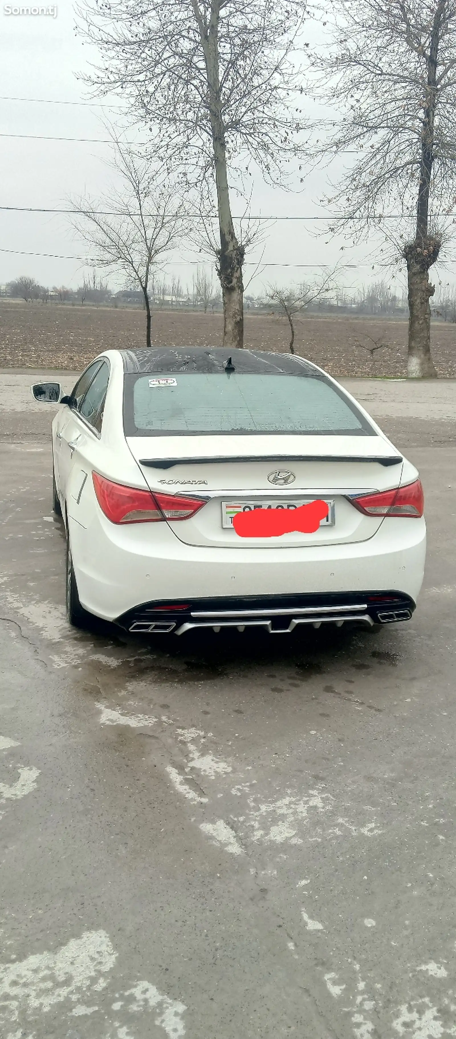 Hyundai Sonata, 2013-1