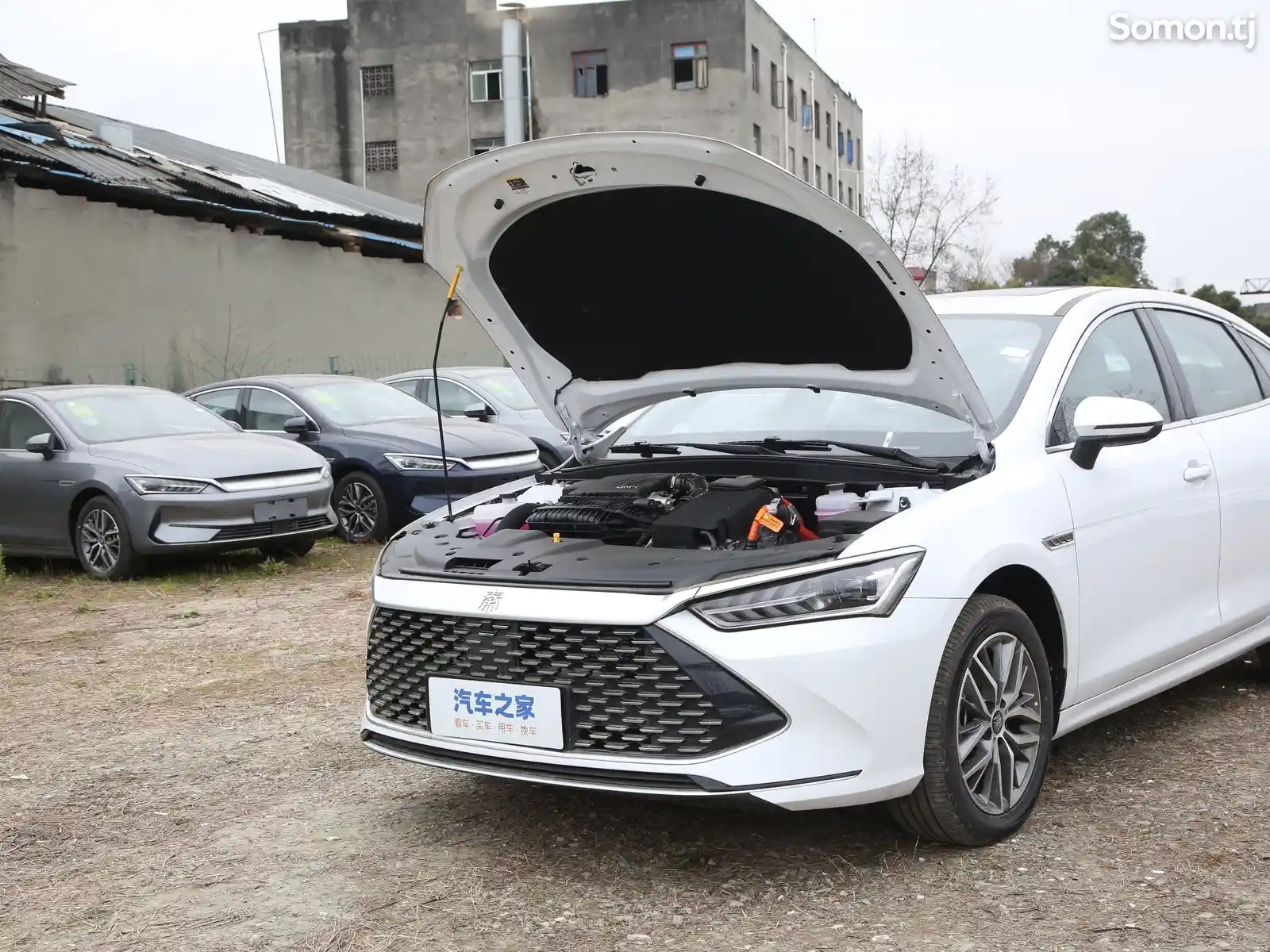 BYD Qin Plus, 2024-5