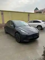 Tesla Model Y, 2024-4