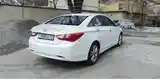 Hyundai Sonata, 2010-2