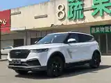 Zotye T600, 2018-2