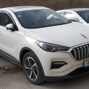 Hongqi E-HS9, 2019