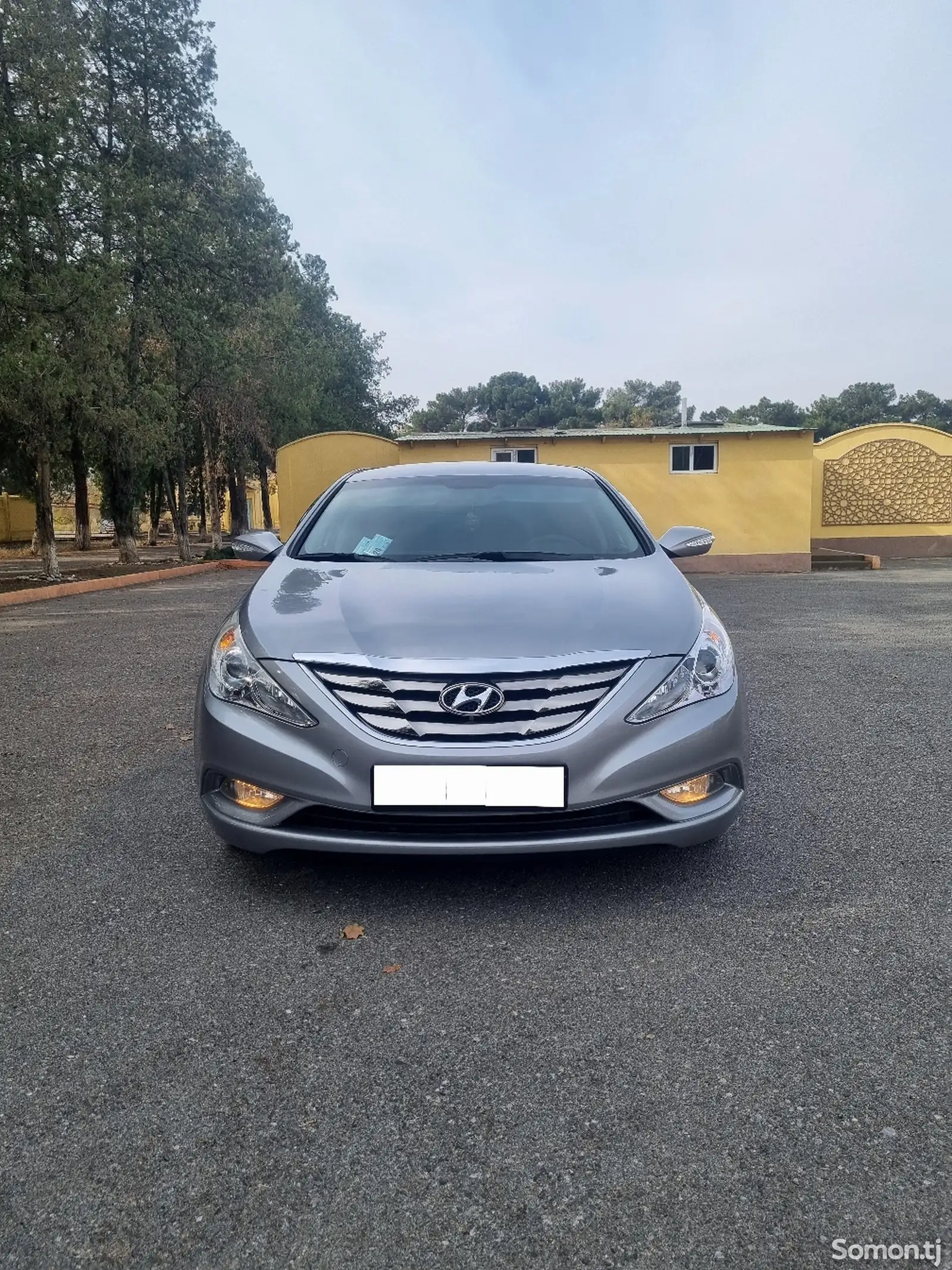 Hyundai Sonata, 2010-1