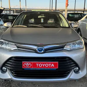 Toyota Axio, 2016