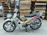 Утка GLX-SUZUKI-125cc куба-9