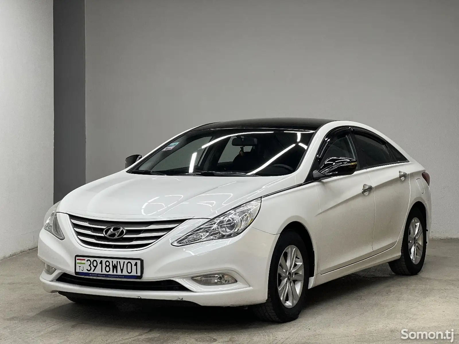 Hyundai Sonata, 2011-1