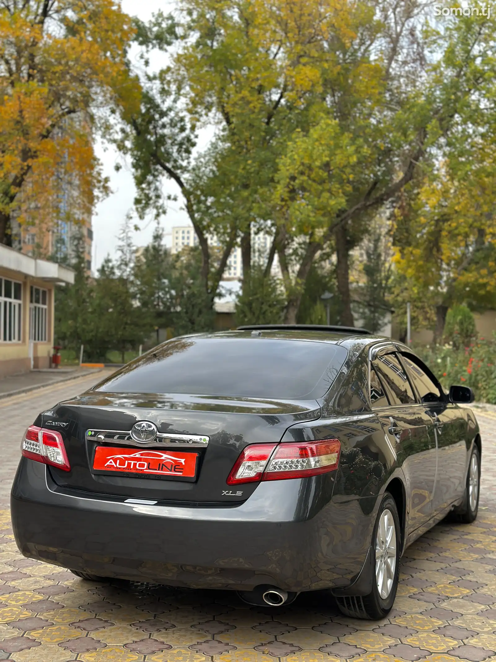 Toyota Camry, 2010-4