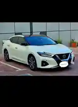 Nissan Maxima, 2019-2