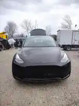 Tesla Model Y, 2023-3