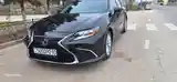 Lexus ES series, 2014-6