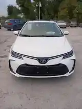 Toyota Corolla, 2024-2