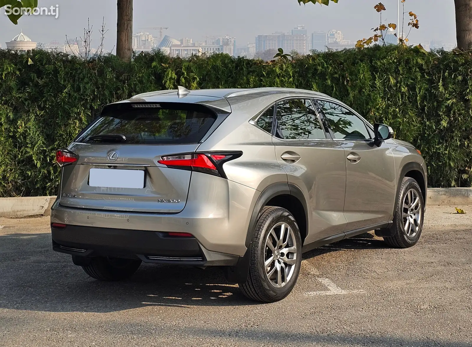 Lexus NX series, 2016-1