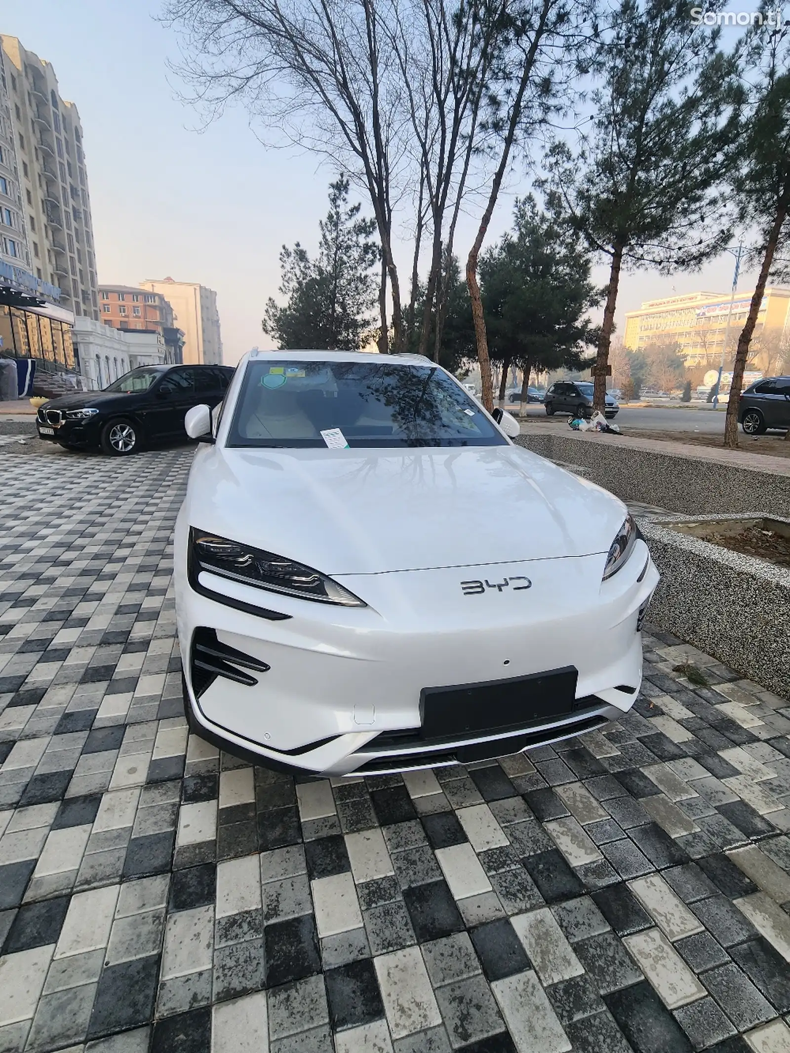 BYD Song Plus Flagship, 2024-1