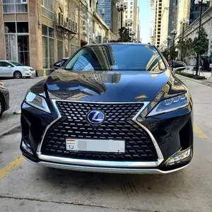 Lexus RX series, 2022