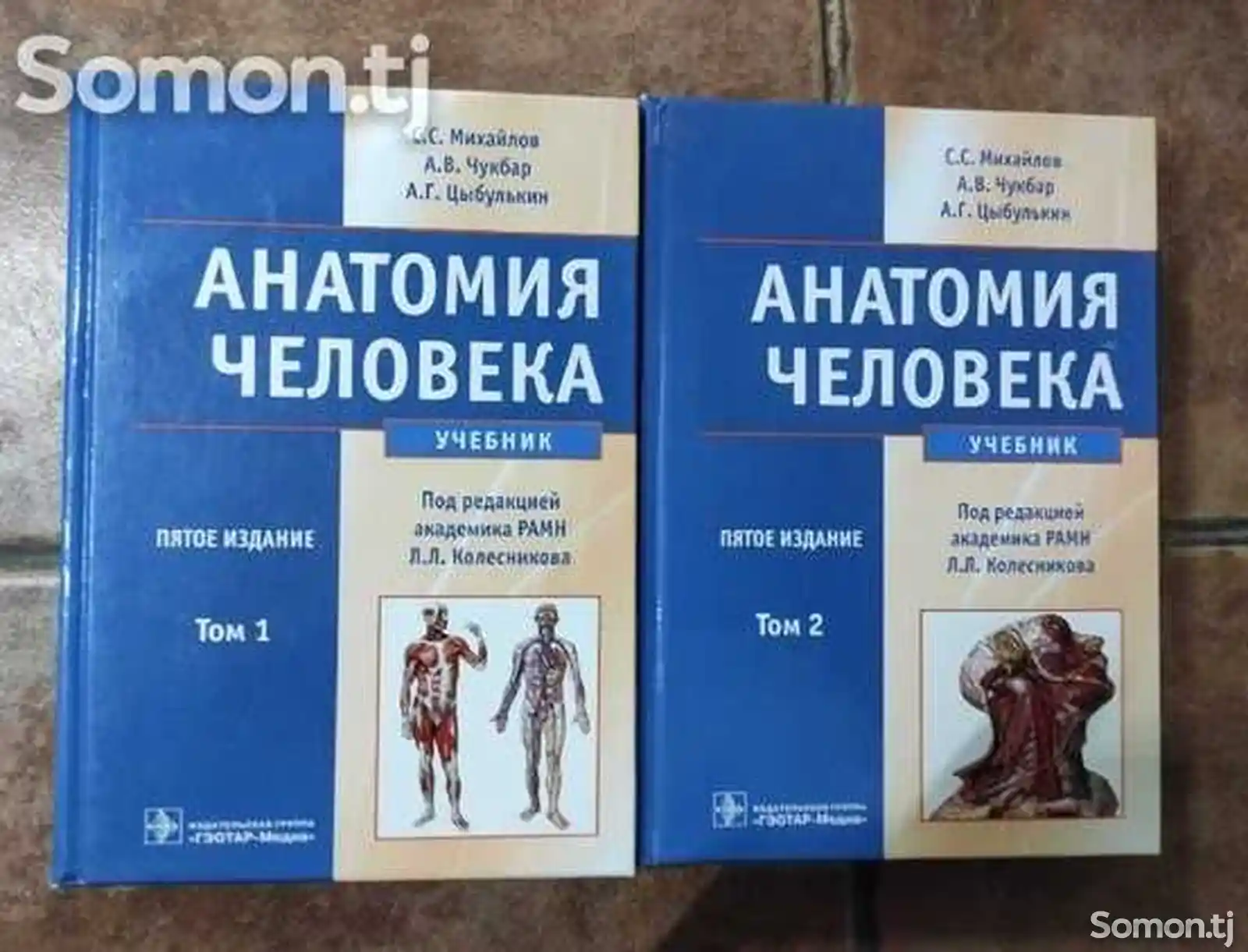 Книга-Анатомия человека 2-1