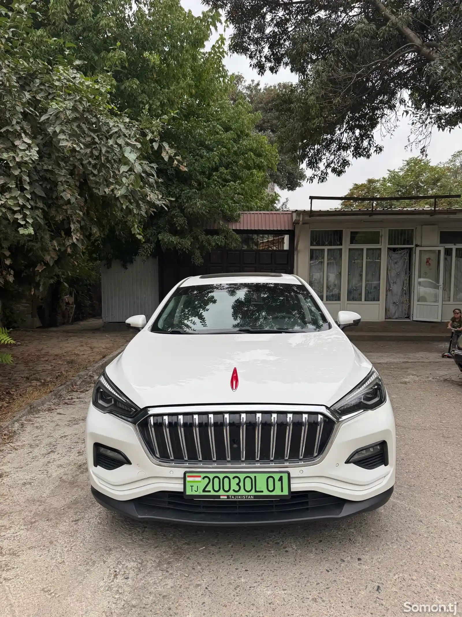 Hongqi E-HS3, 2019-1