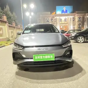 BYD E2, 2024