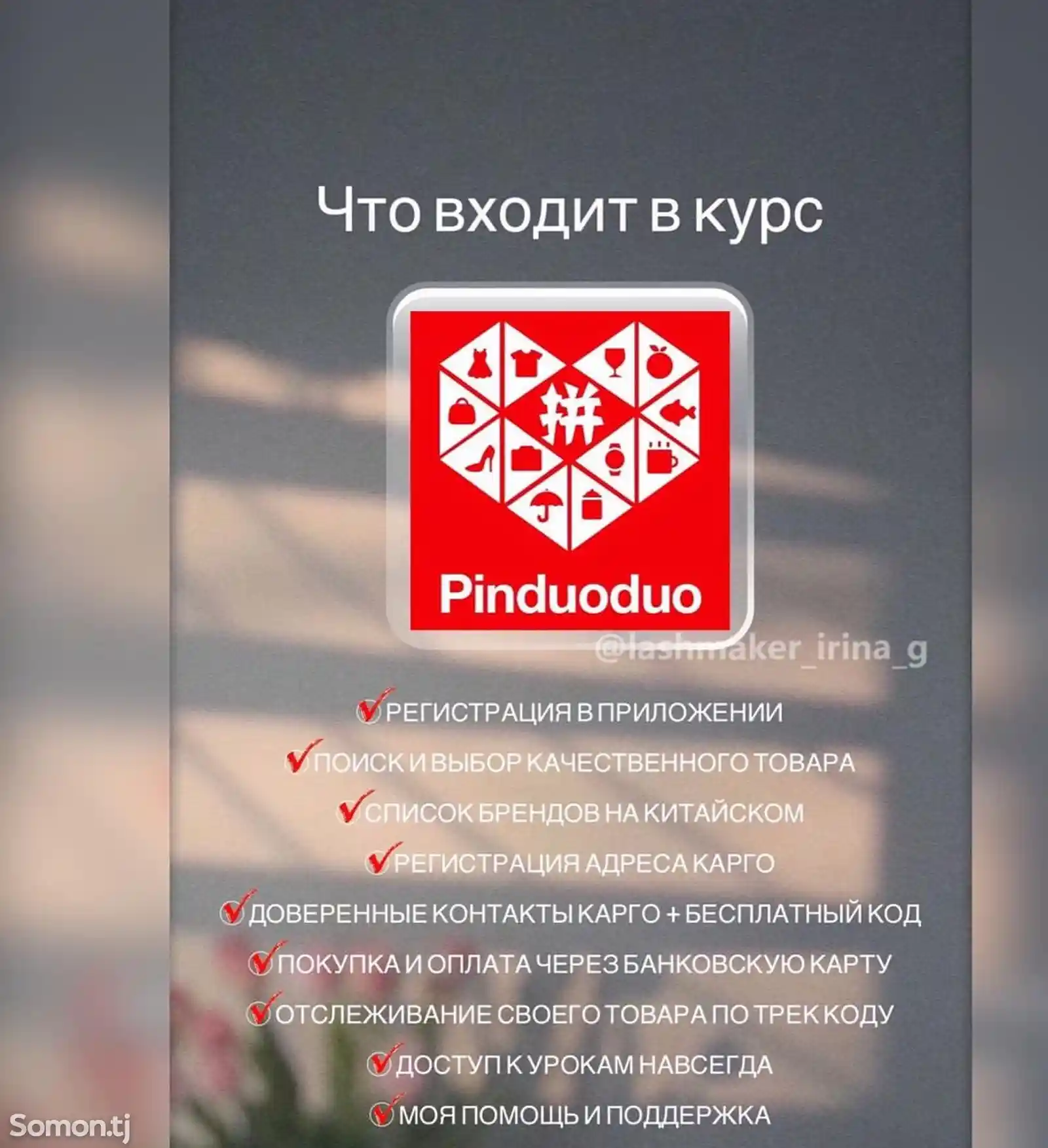 Курс по закупу на Pin Duo Duo-2