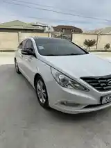 Hyundai Sonata, 2010-5