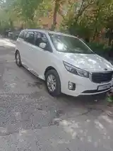 Kia Carnival, 2016-3