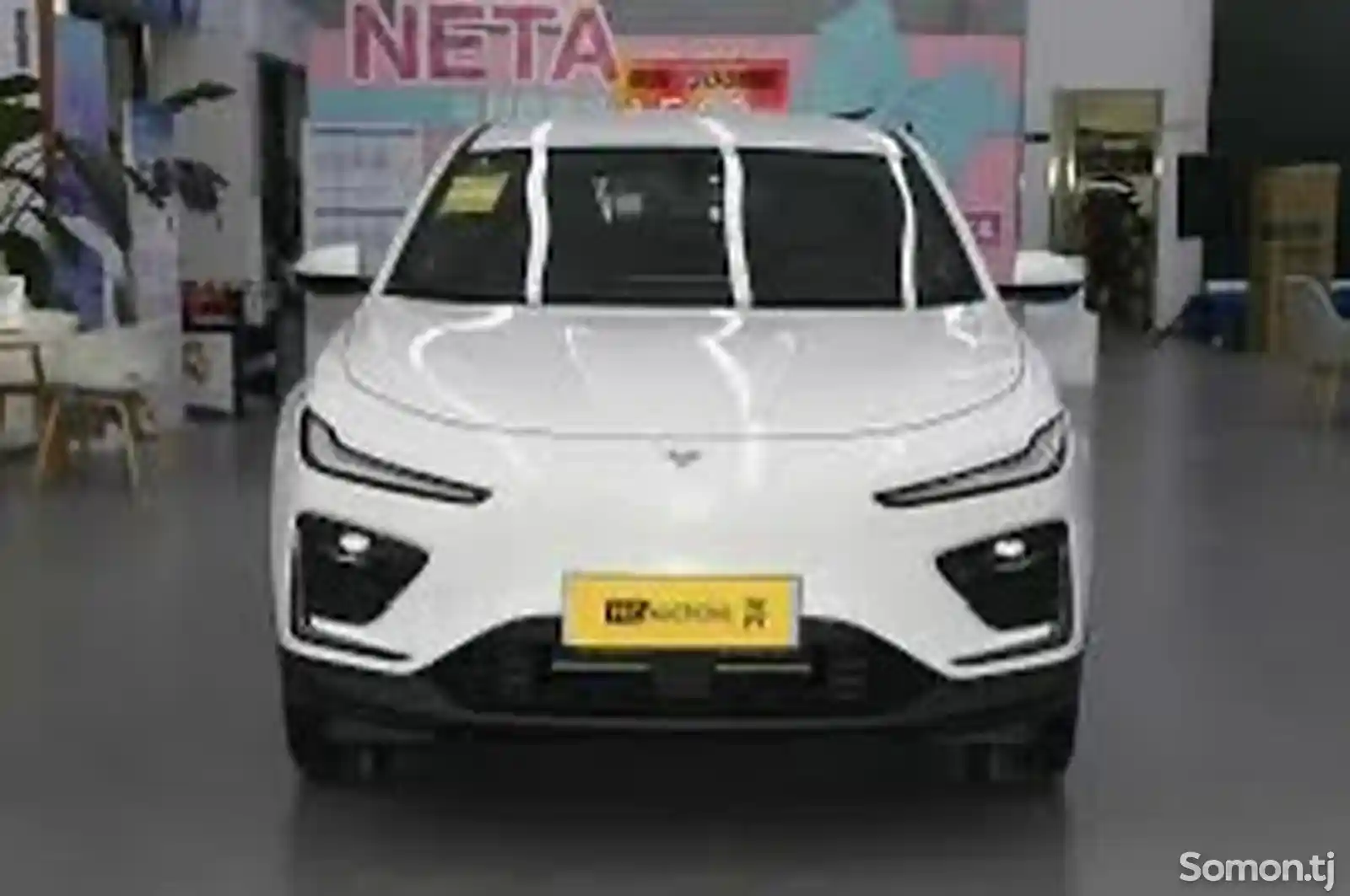 Neta X, 2024-1