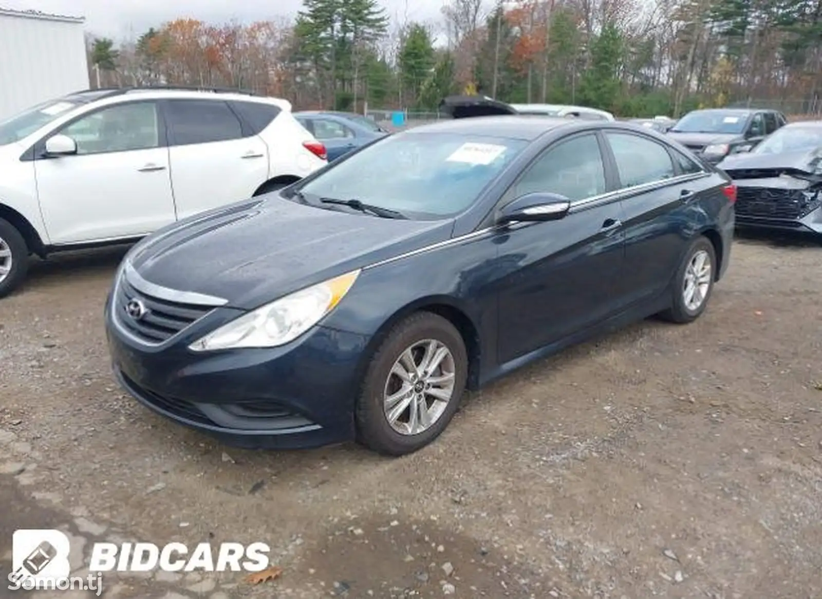 Hyundai Sonata, 2014-1